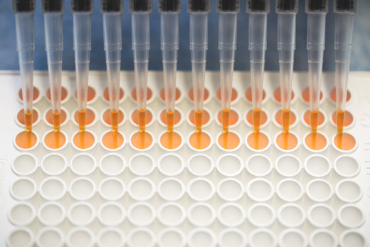 How to Prove a Family Relationship for Immigration Purposes: USCIS Requests and DNA Testing