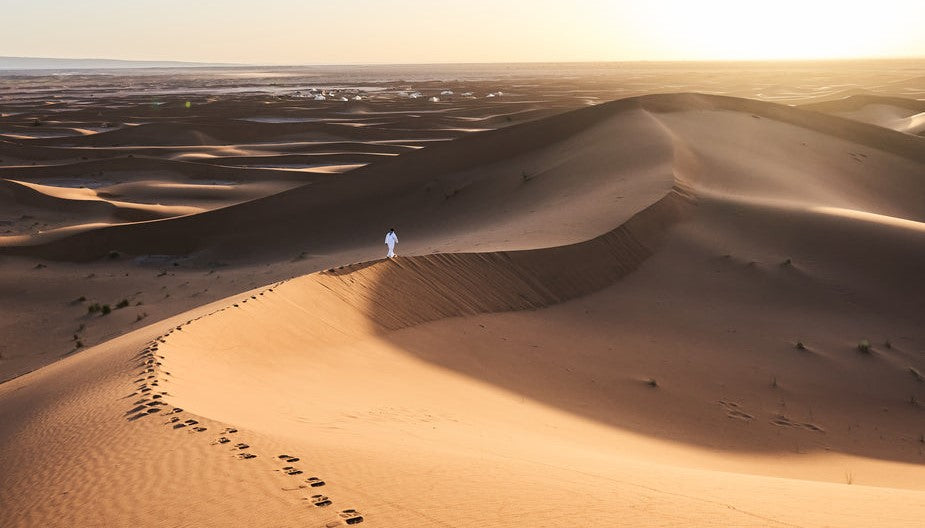 Renouncing U.S. Citizenship: Process, Timeline, Cost, and Immigration Consequences for Dual Canadian–American Citizens