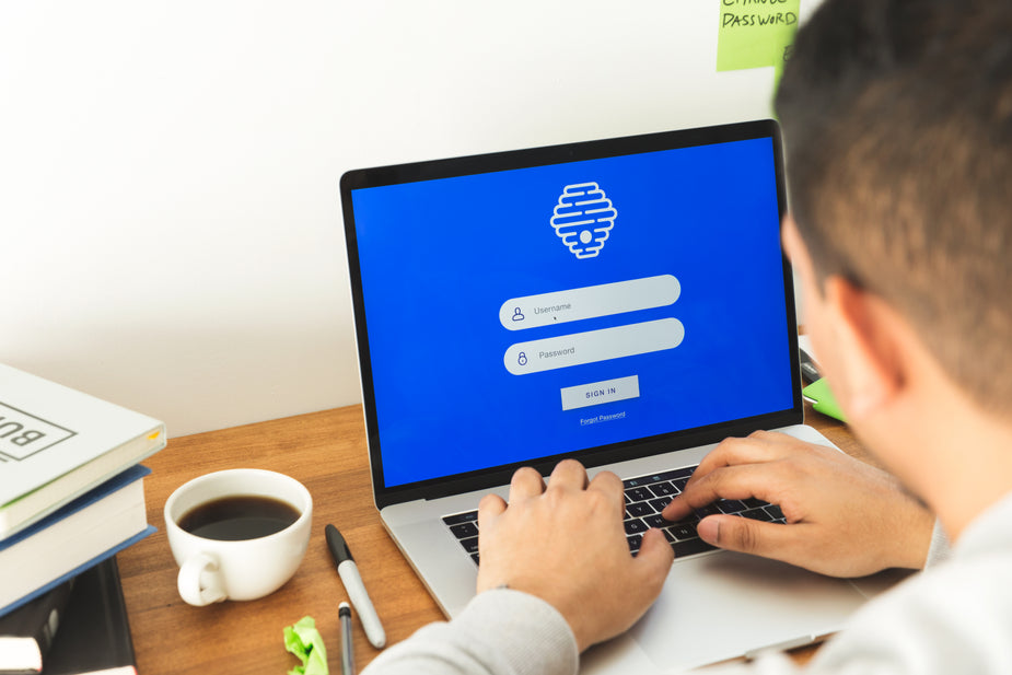 What’s the Difference Between a Controller and a Management Accountant for a TN Visa?