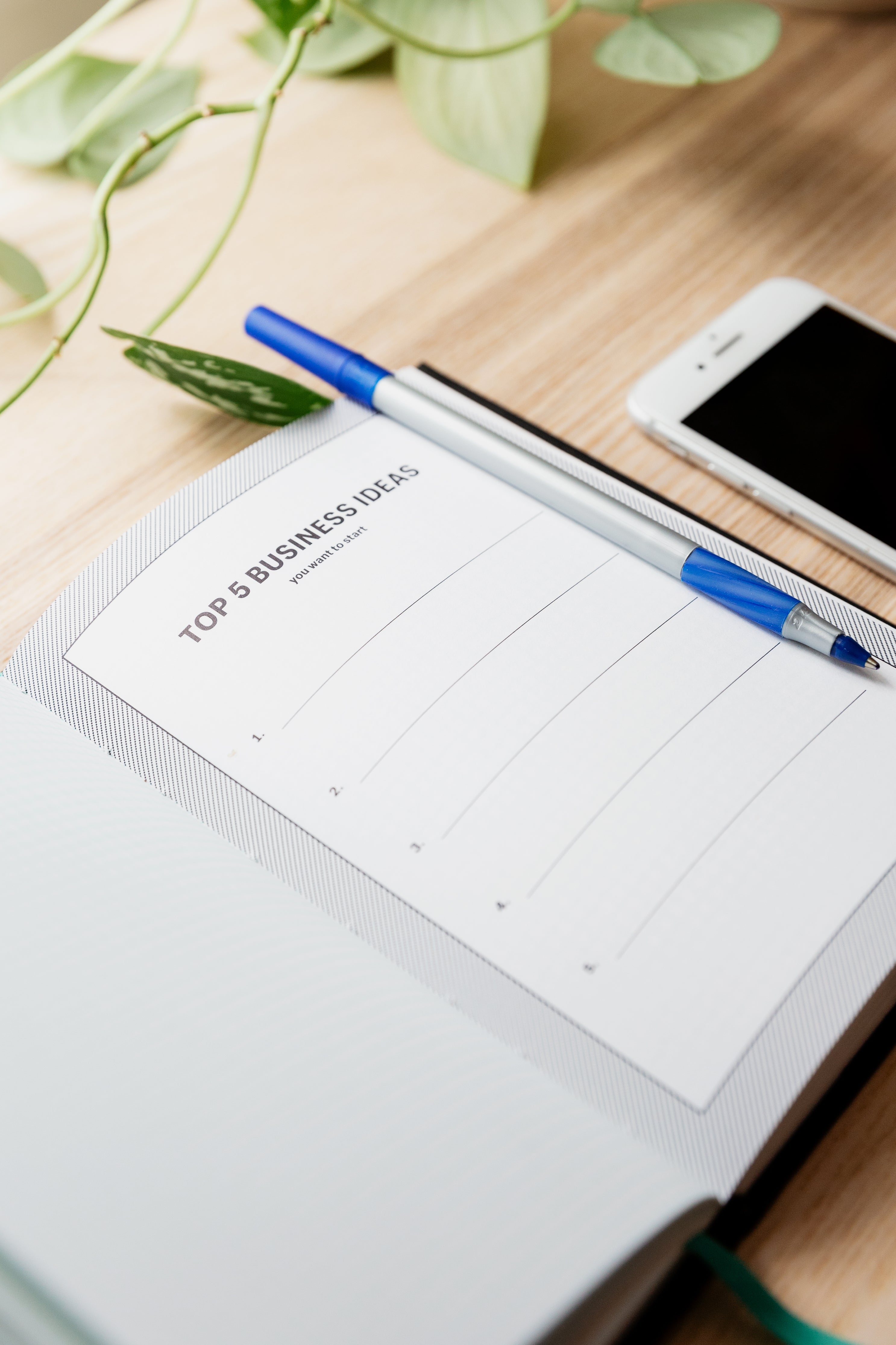 Understanding the E-2 Business Plan: A Comprehensive Guide – sisulegal
